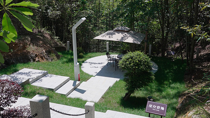 井冈山植物园第 3 张图片