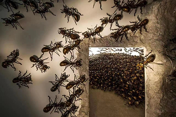 芒果未来艺术中心第 13 张图片