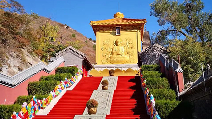 朝阳凤凰山第 5 张图片