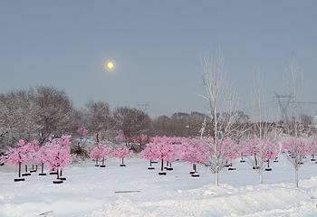 八岔沟滑雪度假小镇第 19 张图片