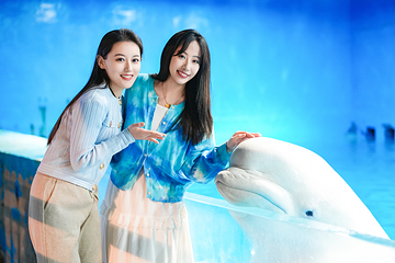 海合安天津极地海洋公园第 46 张图片