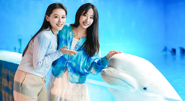 海合安天津极地海洋公园