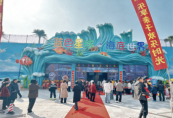 蓝色星球海底世界第 13 张图片
