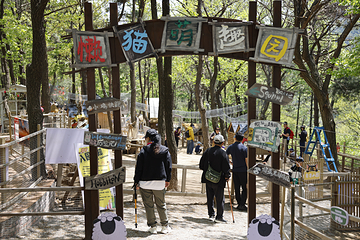 沂蒙山云蒙景区(蒙山国家森林公园)第 44 张图片