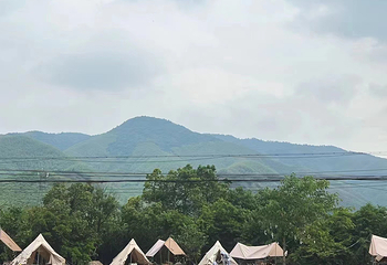 莫干山北野萤火虫景区第 3 张图片
