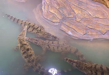 自贡嘉隆海趣海洋世界第 35 张图片