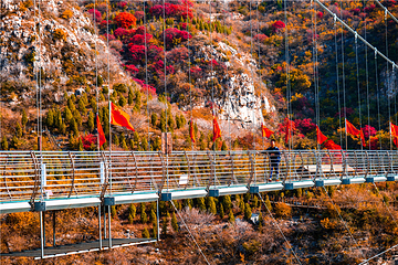 青铜山大峡谷第 65 张图片