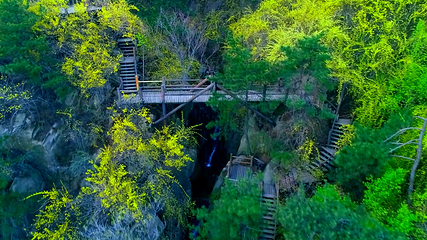 九如山休闲旅游度假区第 183 张图片