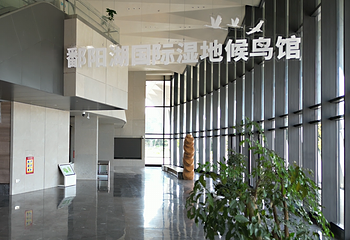 鄱阳湖国际湿地候鸟馆第 1 张图片