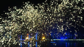 鲁家滩·盛世不夜园