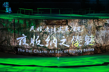 西双版纳勐泐文化旅游区第 48 张图片