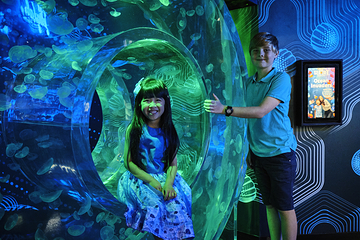 墨尔本水族馆第 23 张图片
