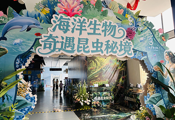 三只熊冰雪王国第 7 张图片