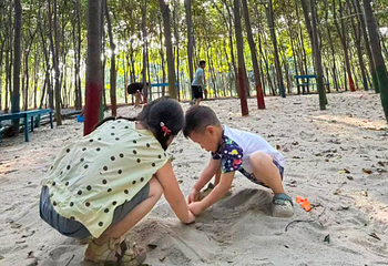 栖林湾第 8 张图片