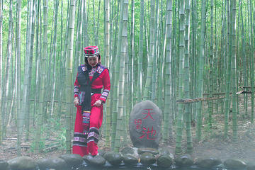 峨山彝人谷竹海景区第 64 张图片