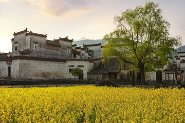 关麓古村景区第 4 张图片