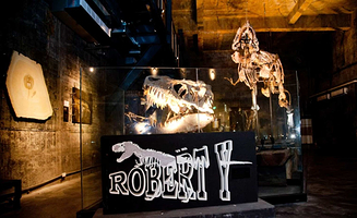 Robert Y 废墟-暴龙馆