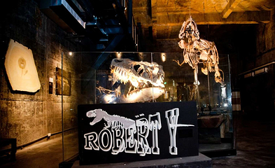 Robert Y 废墟-暴龙馆第 1 张图片