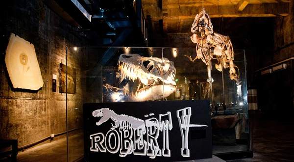 Robert Y 废墟-暴龙馆