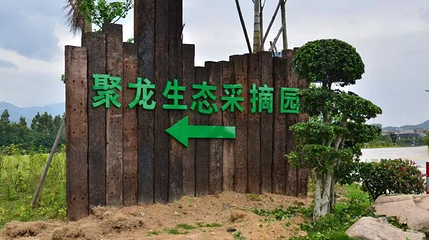 聚龙生态采摘园第 1 张图片