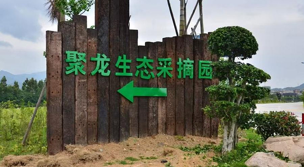 聚龙生态采摘园