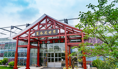 蔓谷景区第 15 张图片