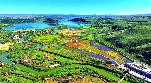 多伦湖万花岛萌宠世界