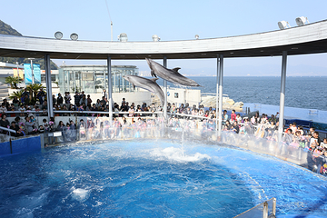 大分海之卵水族馆第 7 张图片