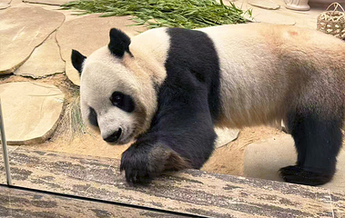 爱保野生动物世界第 4 张图片