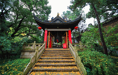 惠山古镇·寄畅园第 8 张图片