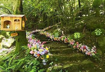 苍龙峡风景区第 1 张图片