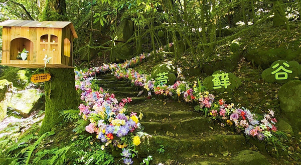 苍龙峡风景区