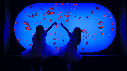 上海海洋水族馆第 8 张图片