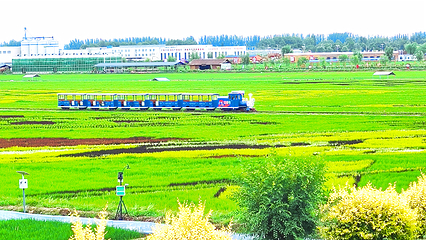 稻渔空间第 18 张图片