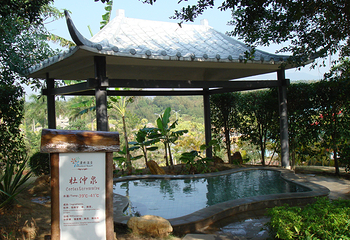 台山康桥森林温泉谷第 33 张图片