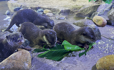 釜山SEA LIFE水族馆第 22 张图片