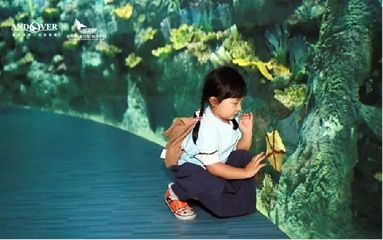 重庆汉海海洋公园第 150 张图片