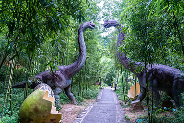 天子地山野乐园第 18 张图片