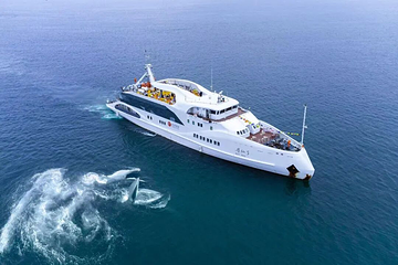 北海涠洲岛游船第 16 张图片