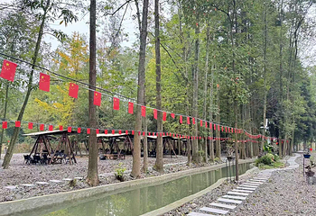 清水里森林营地第 20 张图片
