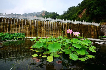 紫金山旅游区第 19 张图片