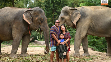 Elephant Jungle Sanctuary Pattaya (Camp 1)