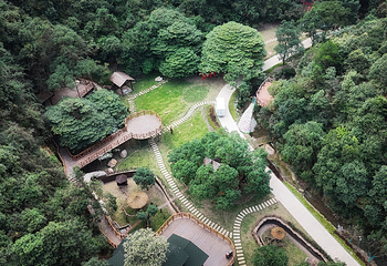 龙坞仙境第 46 张图片