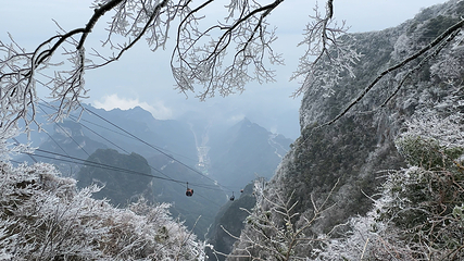 天门山国家森林公园第 89 张图片