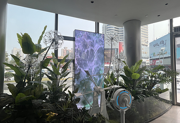 比亚迪迪空间|郑州馆第 24 张图片