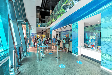 凯恩斯水族馆第 9 张图片