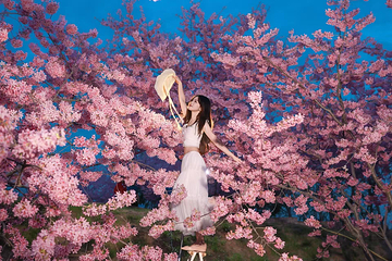 漫花庄园第 29 张图片