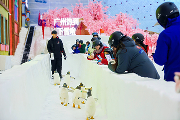 广州热雪奇迹第 190 张图片