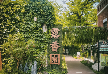 张园第 27 张图片