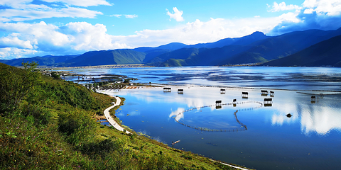 纳帕海(依拉草原)第 1 张图片